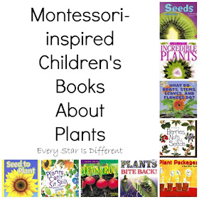 Montessori-inspired Children's Books About Plants