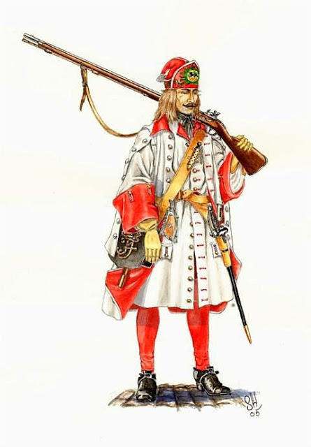 Wars of Louis Quatorze: Danish Army in the 18thc