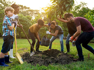 Planting trees