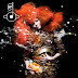 Björk - Biophilia - La pochette