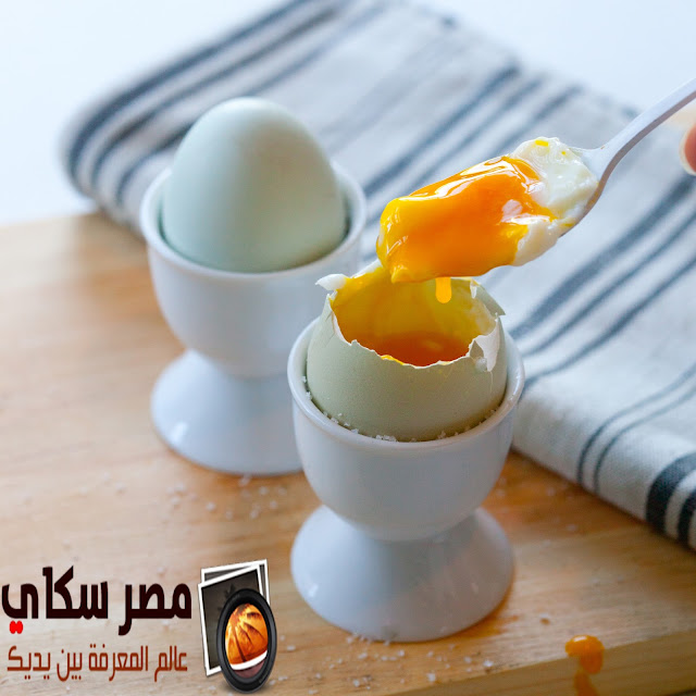 طريقة تحضير البيض ب 6 طرق مختلفة  Prepare eggs