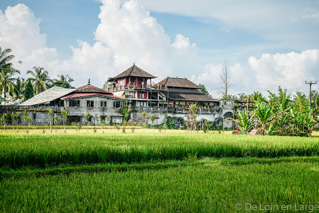 Garuda Made Ada - Pakudui Tegallalang - Bali