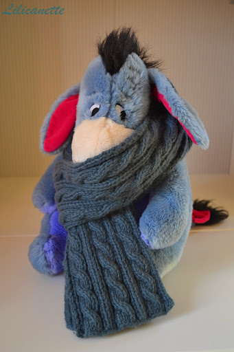 Lilicanette: Tricot - Echarpe homme