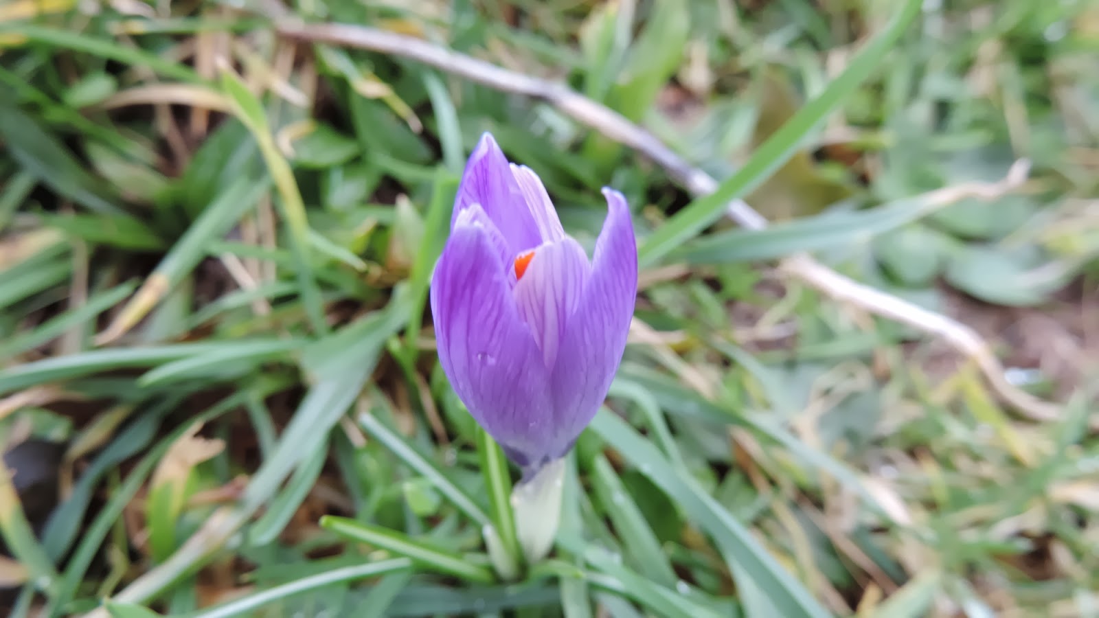 The Glebe Blog: 02/2014