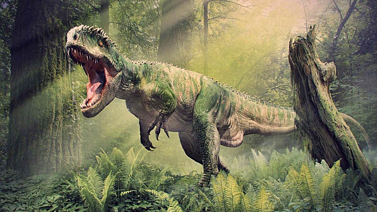 Fundacion Dinosaurios Cyl: 5 preguntas que seguro te haces sobre el