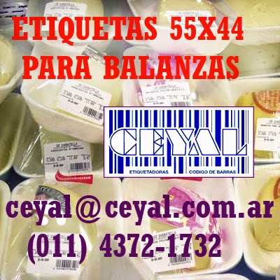 Servicio tecnico y Mantenimiento Impresoras Zebra Todos los modelos La matanza ceyal@ceyal.com.ar Arg.