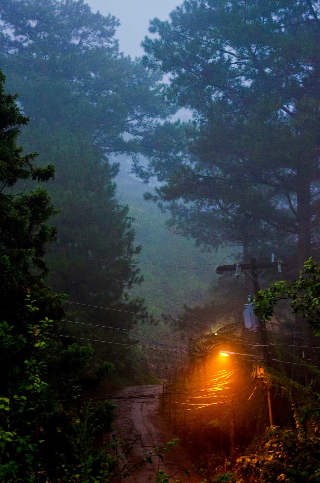 This way to The Living Room