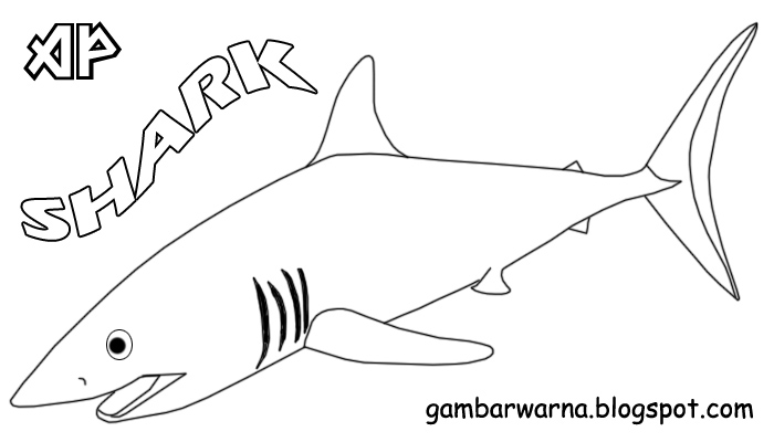 gambar mewarnai hewan di laut hiu