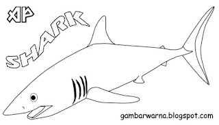 Mewarnai Ikan Hiu Belajar Mewarnai Gambar