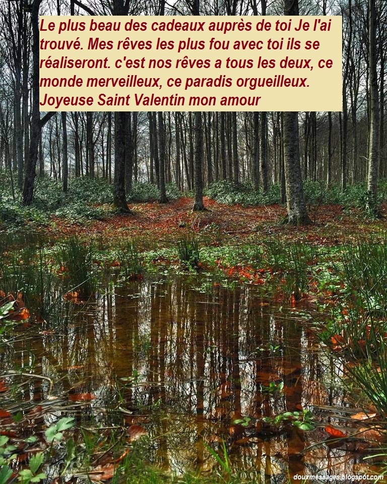 MESSAGE D'AMOUR POUR SAINT VALENTIN - MESSAGES DOUX