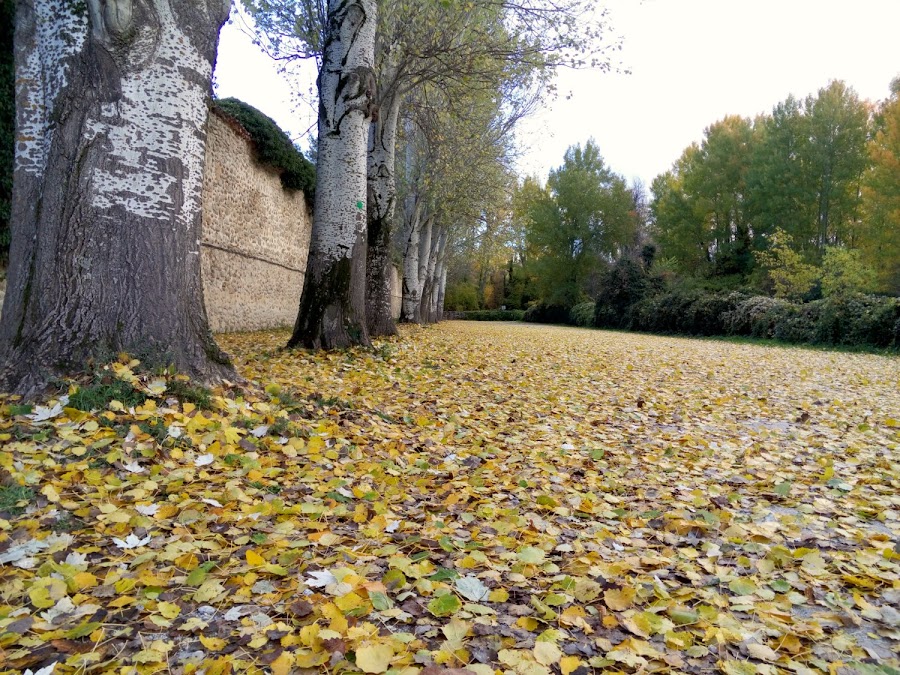 Aparcamiento-Monasterio-de-el-Paular