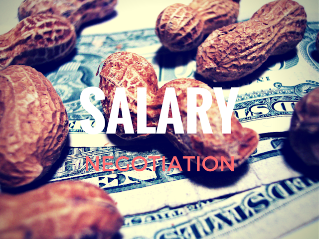 how to negotiate salary raise as a software developer