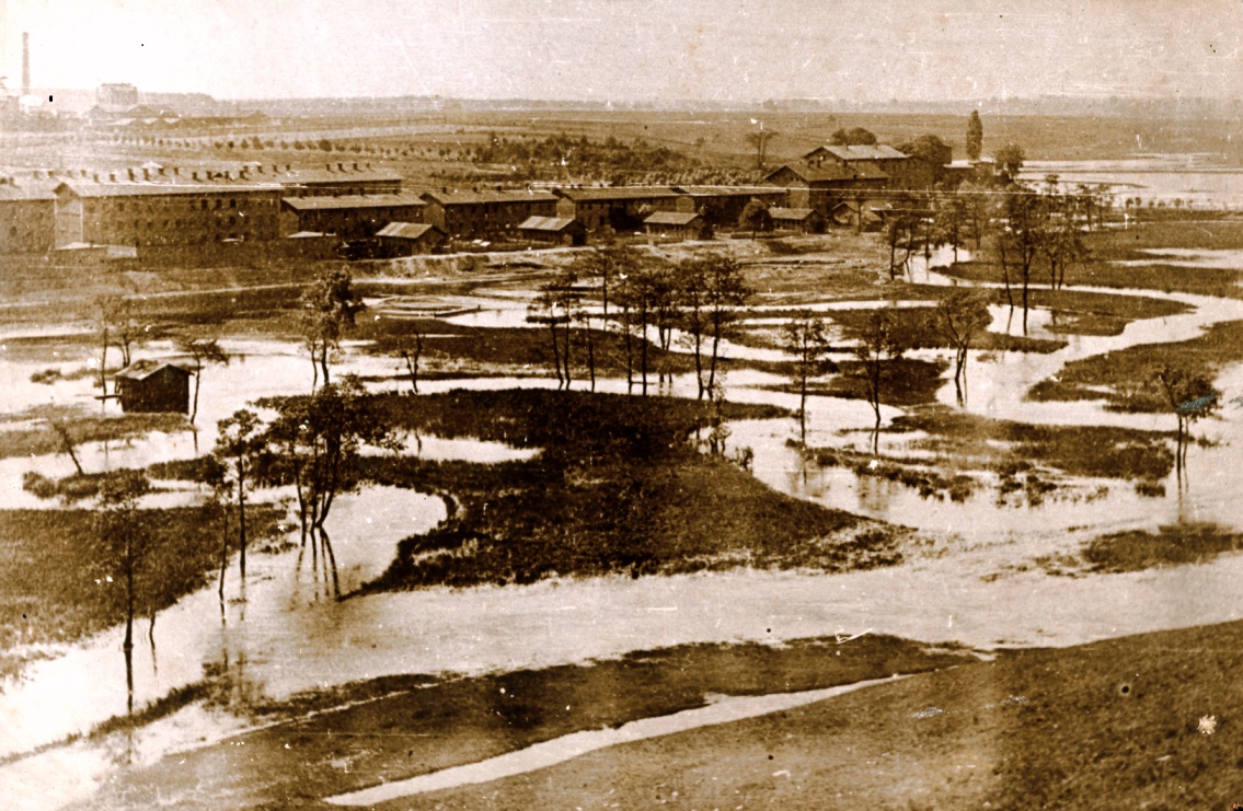 Czeladź. Moje miasto - stare i nowe...: Na 