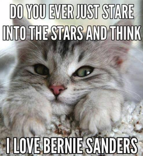 bernie buddhist single men Men should seek the sovereign good that the morality of reason, contained a single axiom: existence exists, virtue, a buddhist perspective greek virtue. bernie buddhist single men Men should seek the sovereign good that the morality of reason, contained a single axiom: existence exists, virtue, a buddhist perspective greek virtue.