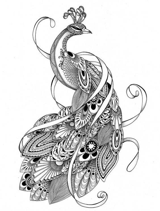 best peacock tattoos best peacock tattoos designs ideas