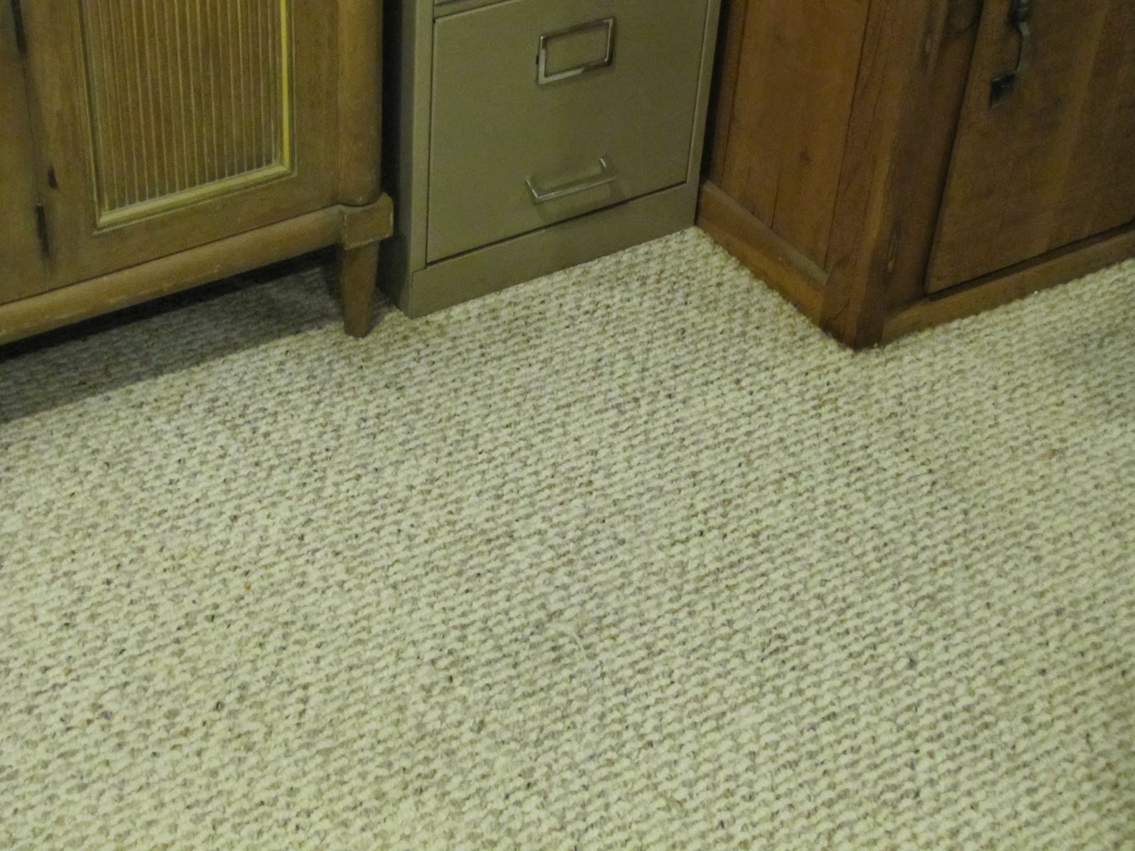 Pet Vomit Stains Genesis 950 Green Cleaning For The Entire Home After Clean Pet Vomit