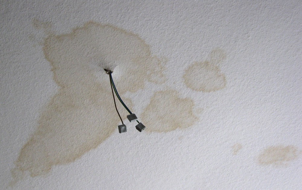 Dassis Renovierungstagebuch Wasserflecken an der Decke