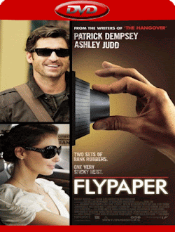 Flypaper DVD FULL