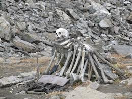 Human skeleton fond at Roopkund LAke