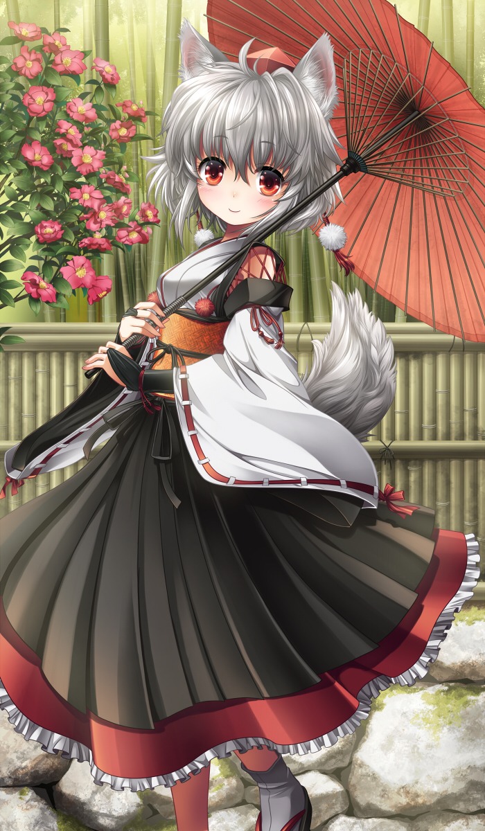 Inu mimi Animoe