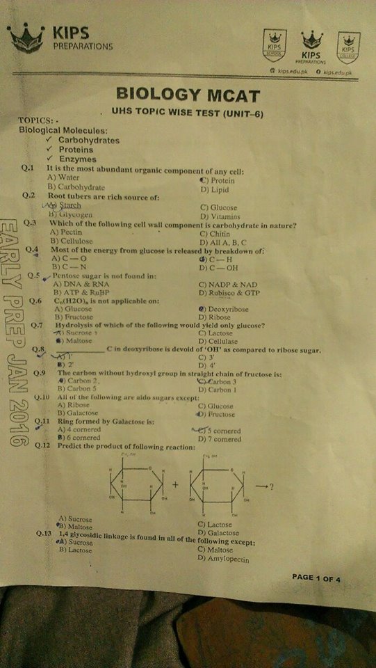 Kips notes series 2nd year english image