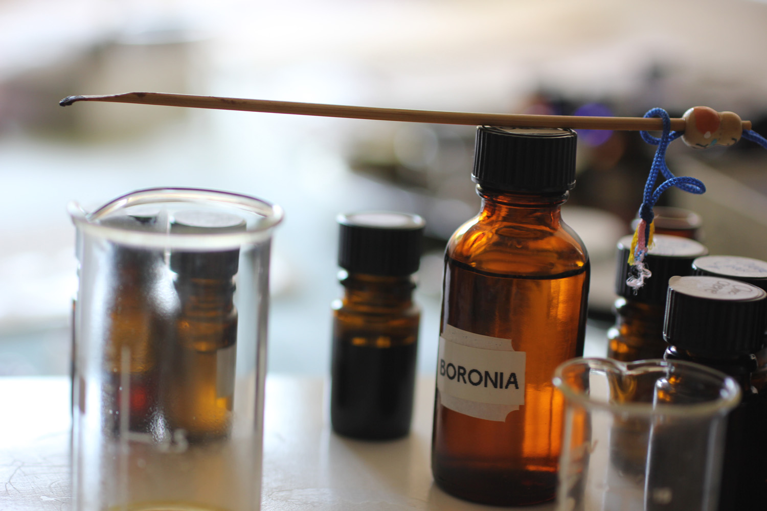 Illuminated Perfume Botanical Perfume in New York City!