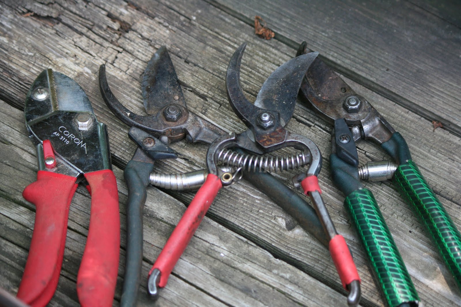 WORMS 'n RADISHES, FLOWERS, FRUITS 'n TREES Review Of Hand Pruners