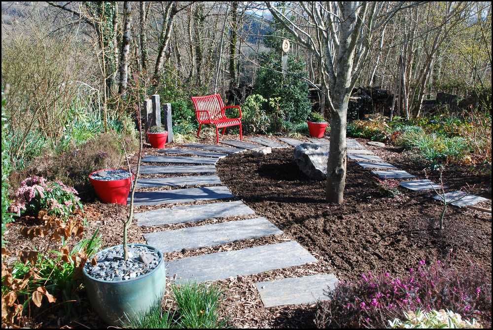 Le Jardin Du Mayet Ces Derniers Temps En Attendant Le Printemps