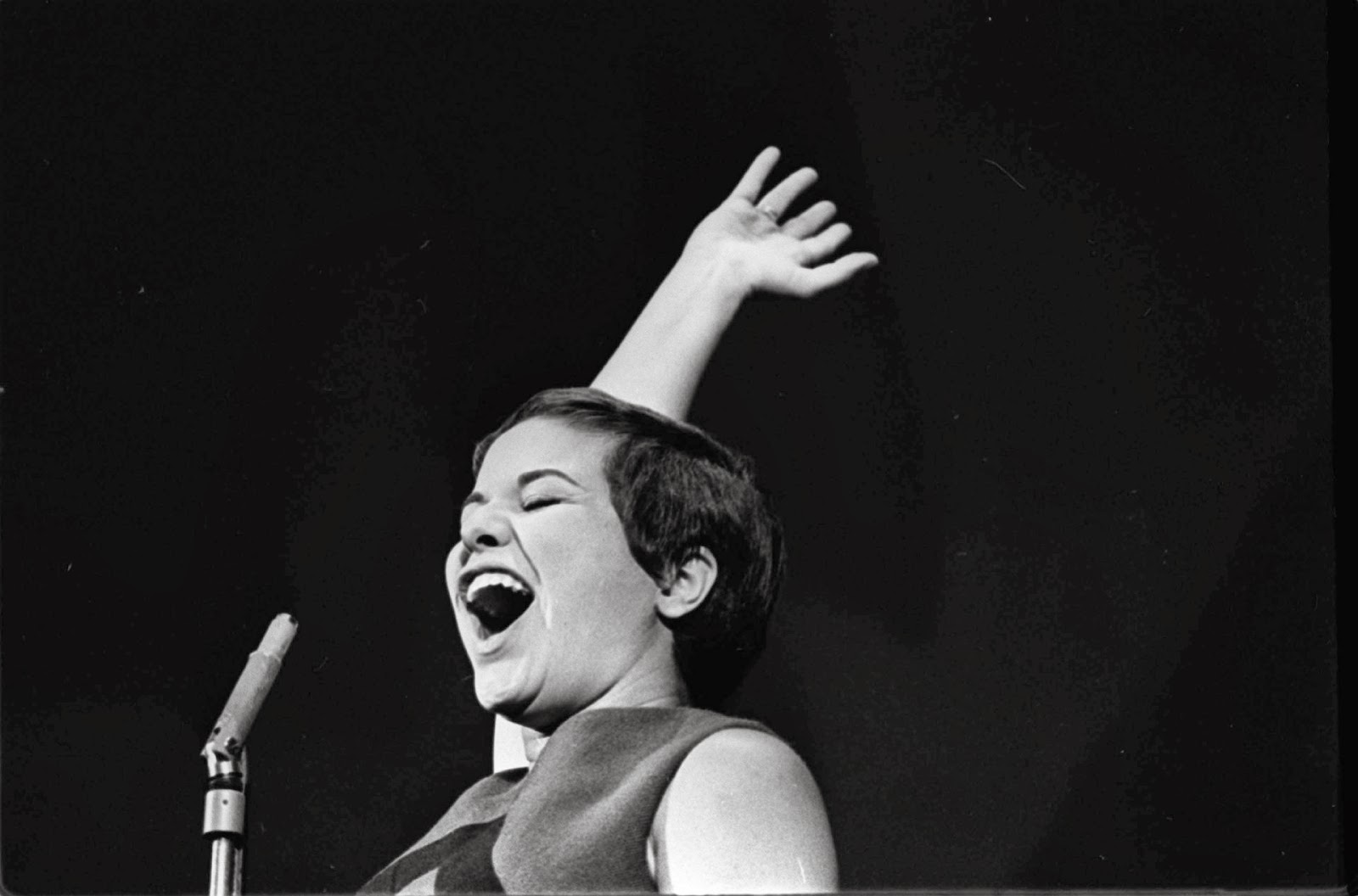 Les Chefs: Elis Regina