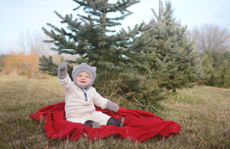 2017 Christmas Tree Hunting | My Darling Days 2017 Christmas Tree Hunting | My Darling Days