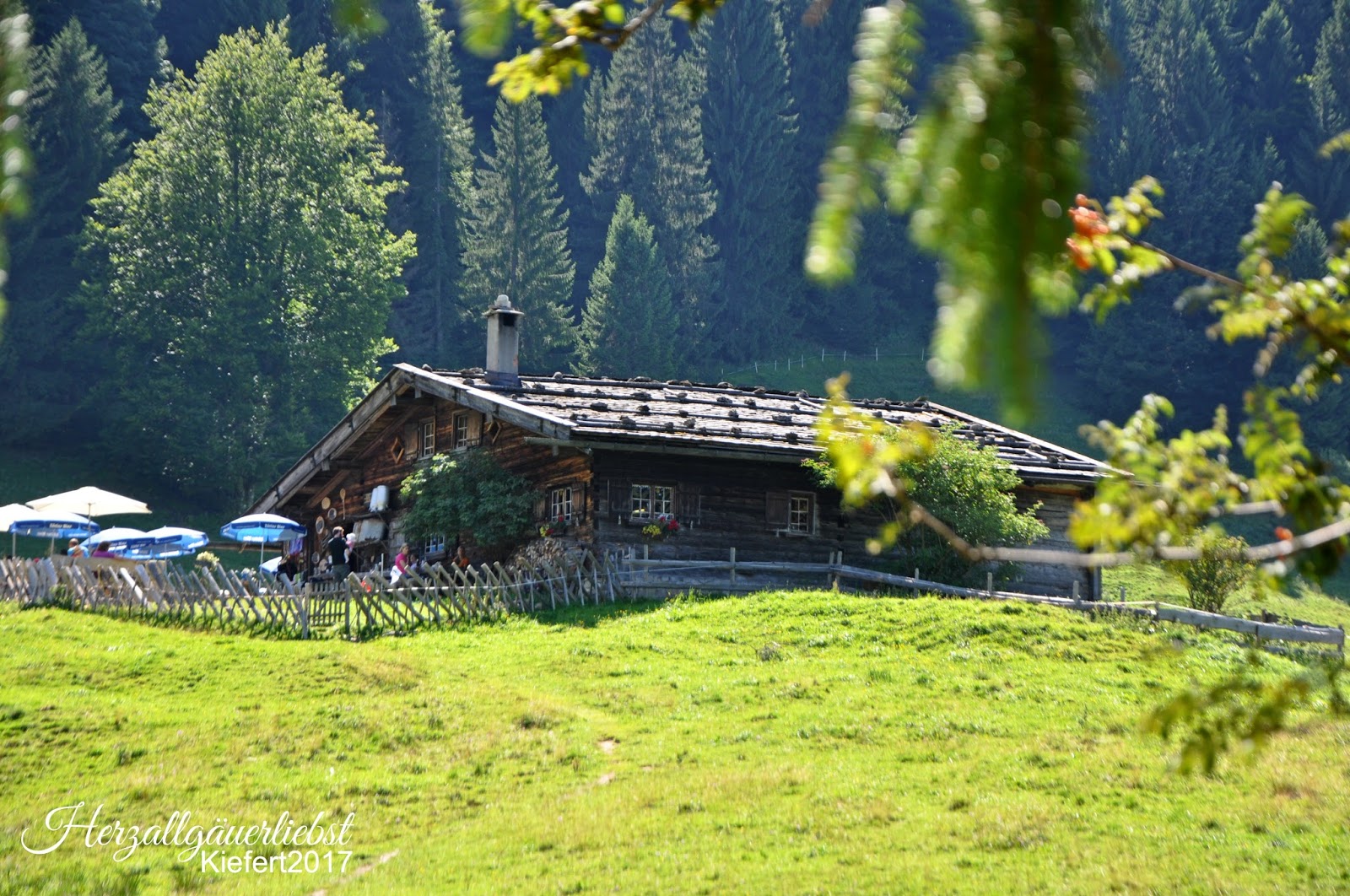 Familienausfluge Mit Kindern Im Allgau 2018