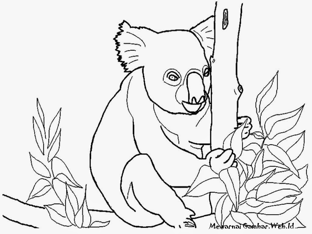 Mewarnai Gambar Koala
