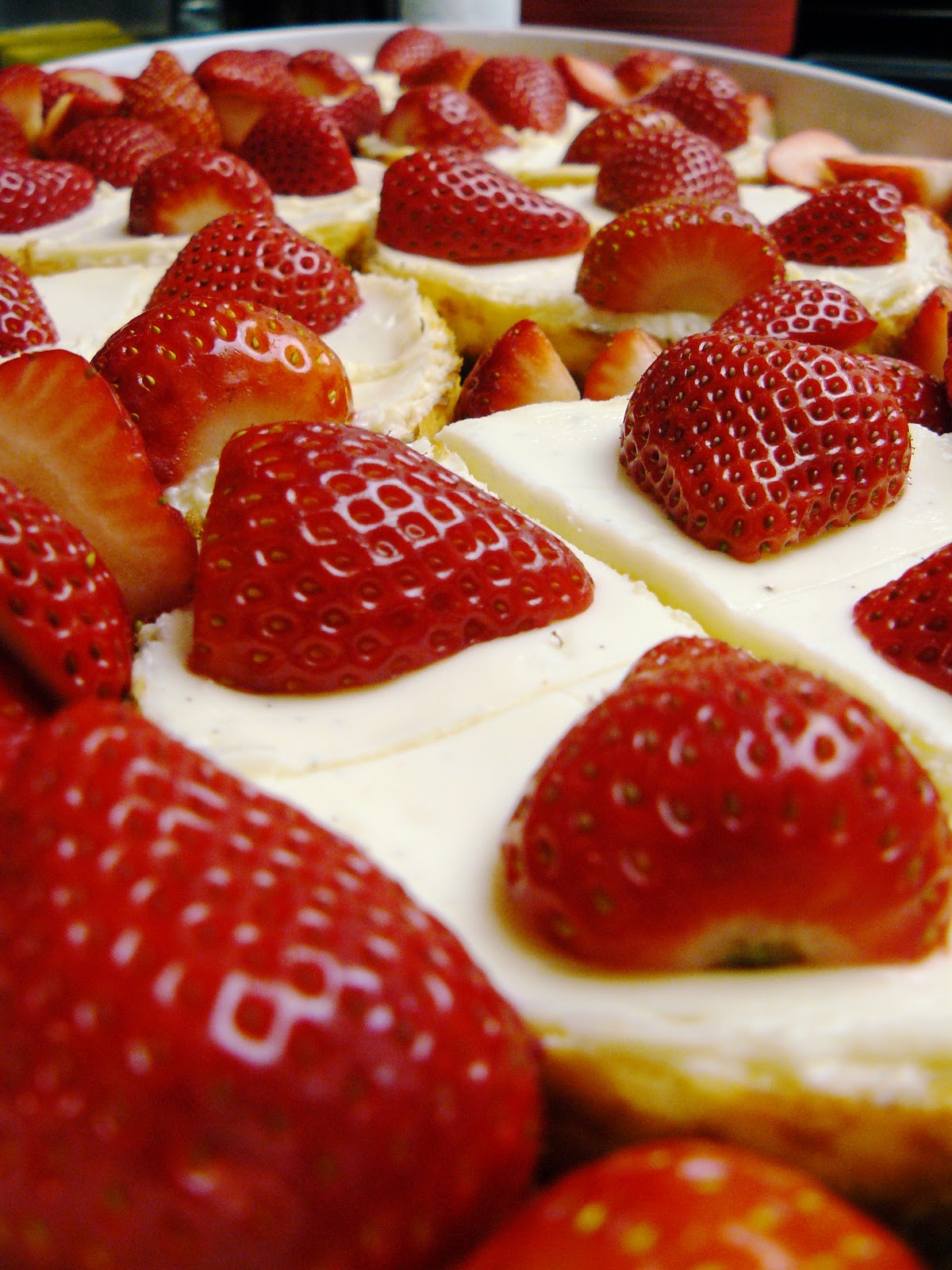 little dog lost Vanilla bean minicheesecakes with strawberries