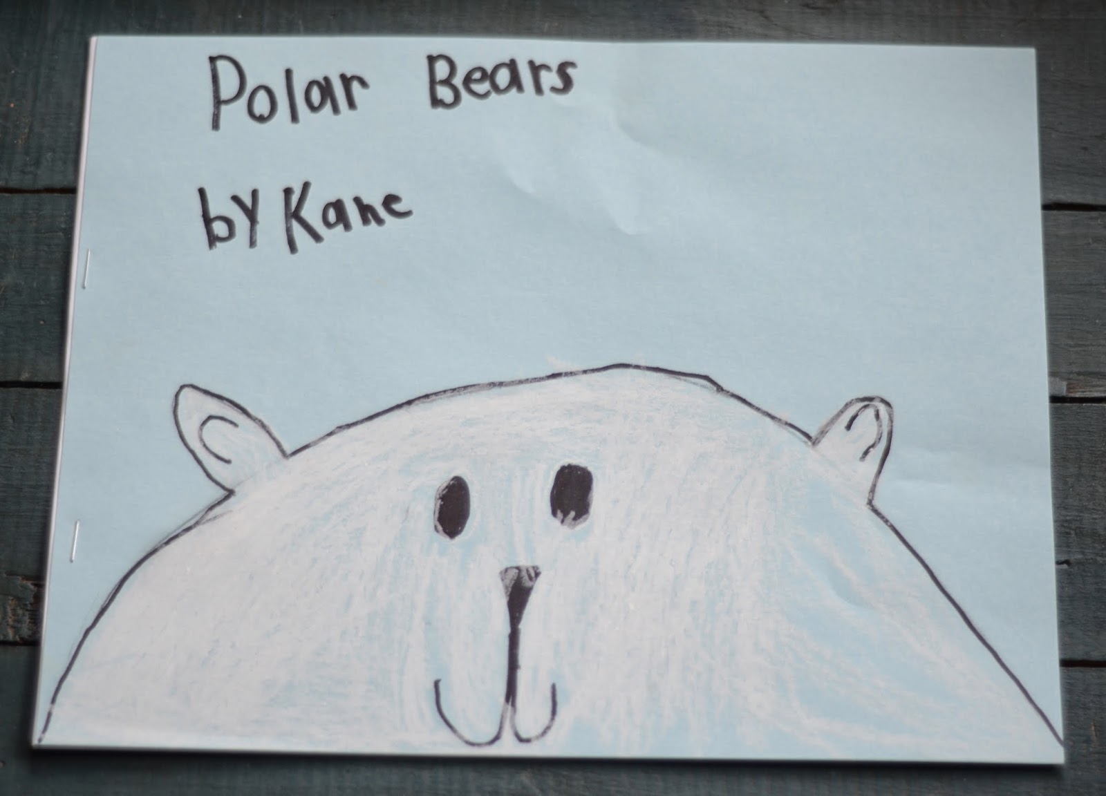 A Place Called Kindergarten: polar bear experts