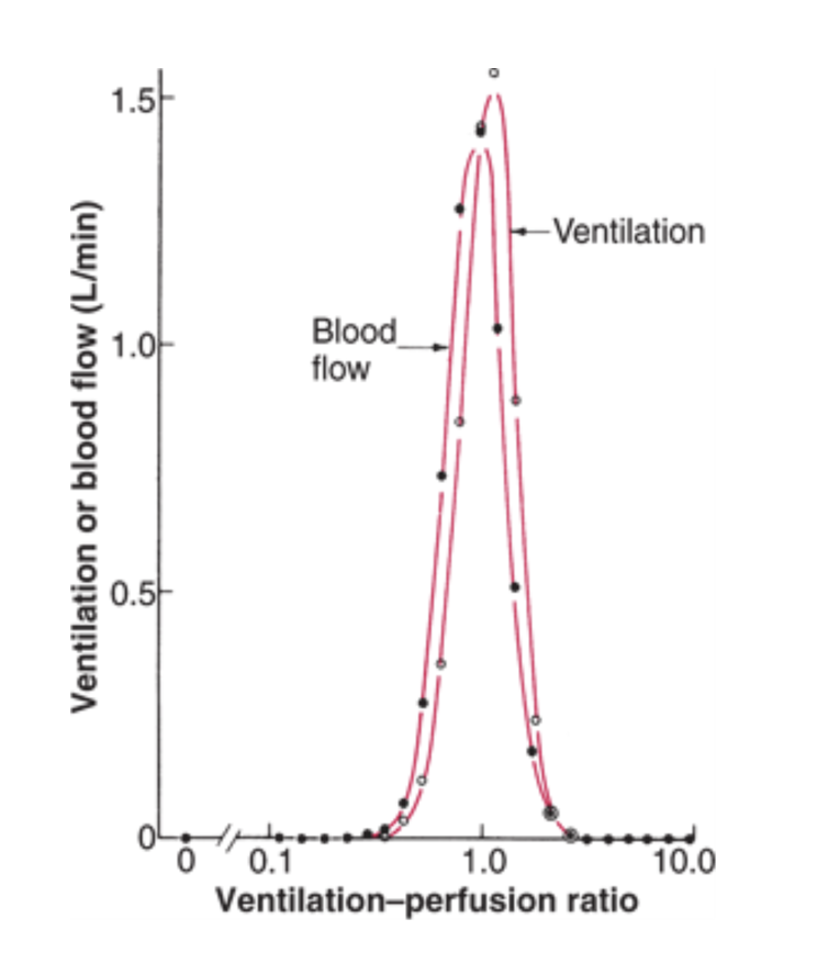hypoxemia