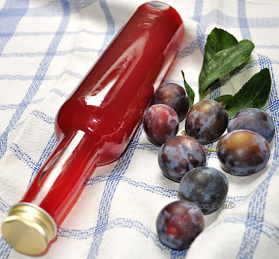 Pflaumensaft Pflaume (Prunus domestica)