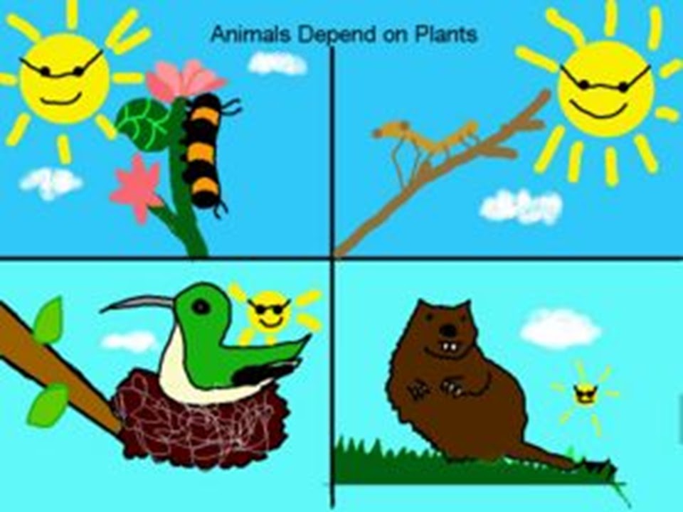 SONU ACADEMY WEB OF LIFE TEXT