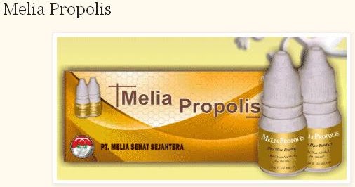 18 Manfaat Propolis Moment Bagi Kesehatan Manfaat