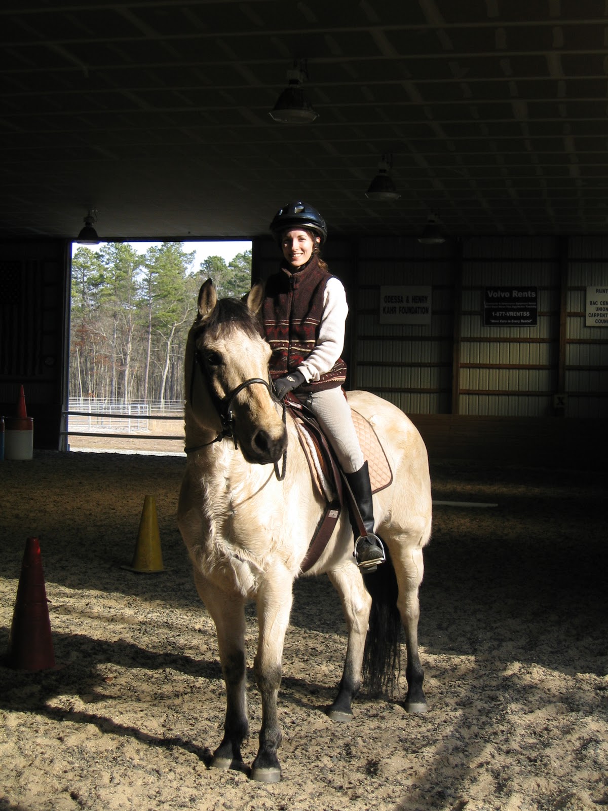 Memoirs of a Horse Girl Memoirs A Girl and Her Horse, Six Years