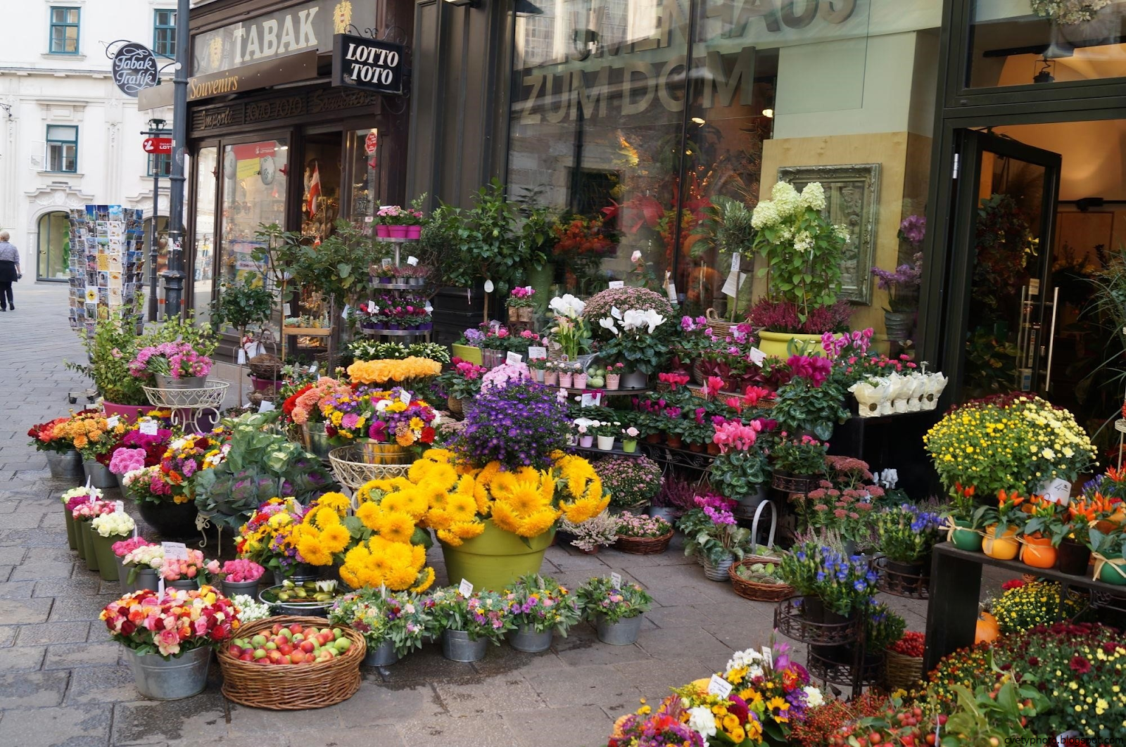 Какими цветами торгуют. Цветочный магазин в Европе. Цветы в цветочном магазине. Цветочный магазин в Италии. Цветочный салон.
