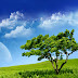 Como entender a “Árvore da Vida” de Gênesis 2,9? 