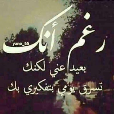 صور لطيفة للواتس صور لطيفة للواتس