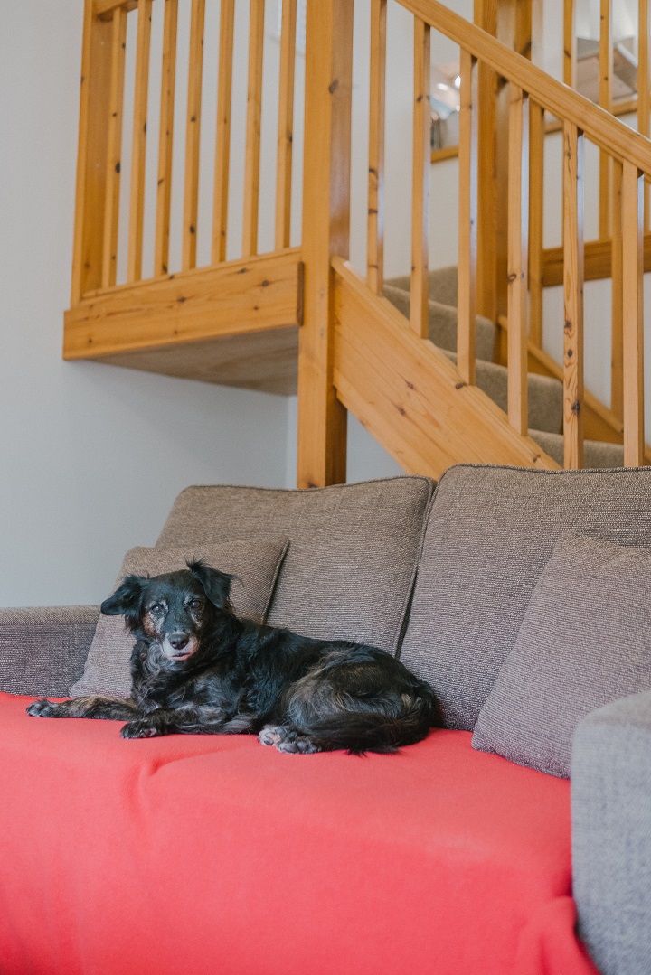 Dog Friendly Luxury Holiday to The Valley Cornwall