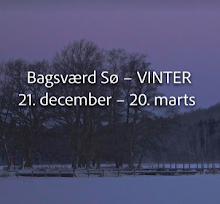 Bagsværd Sø – VINTER