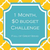 1 Month, $0 Budget Projects