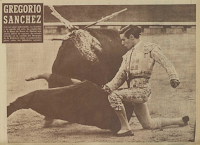 Resultado de imagen de matador de toros Gregorio Sánchez