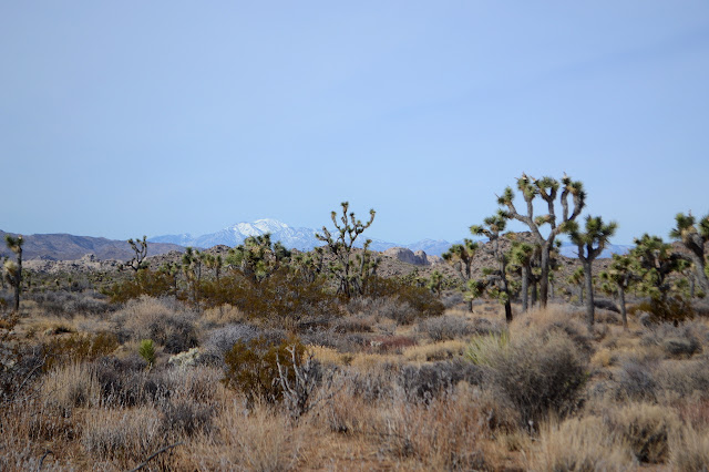 San Gorgonio covered in white snow