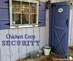 chicken coop security