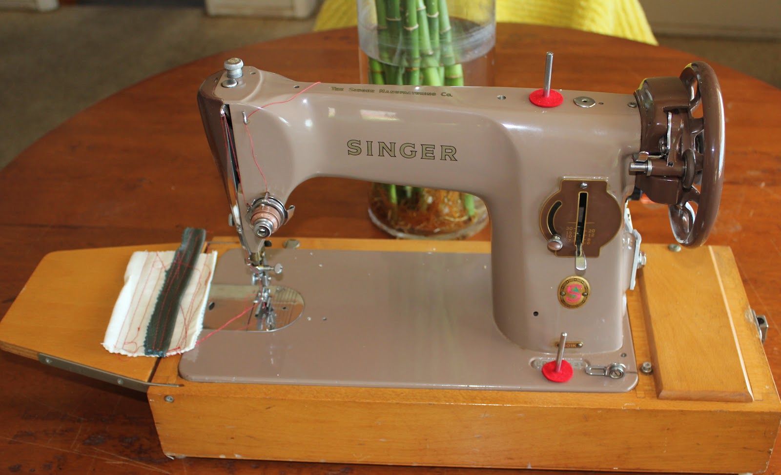 Pammie and the P's New Project Treadle anyone?