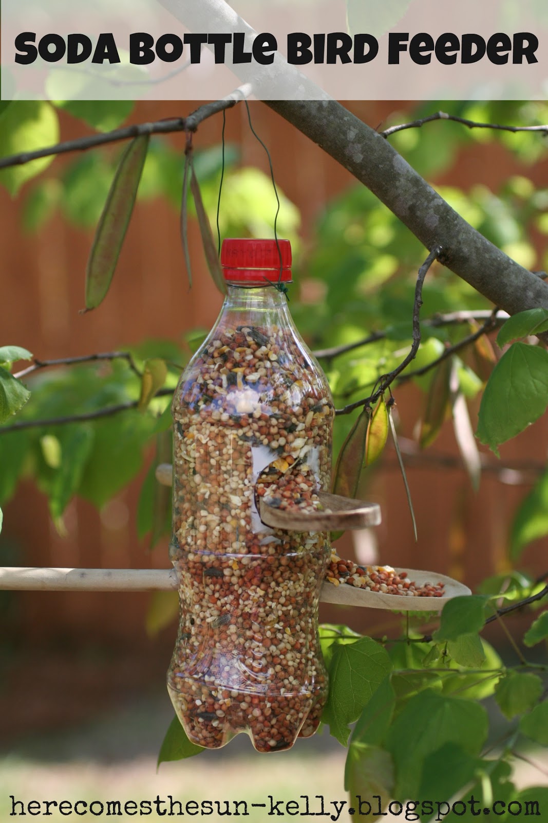 How to Make a Bird-feeder From Water-bottles! (tutorial/instructions)